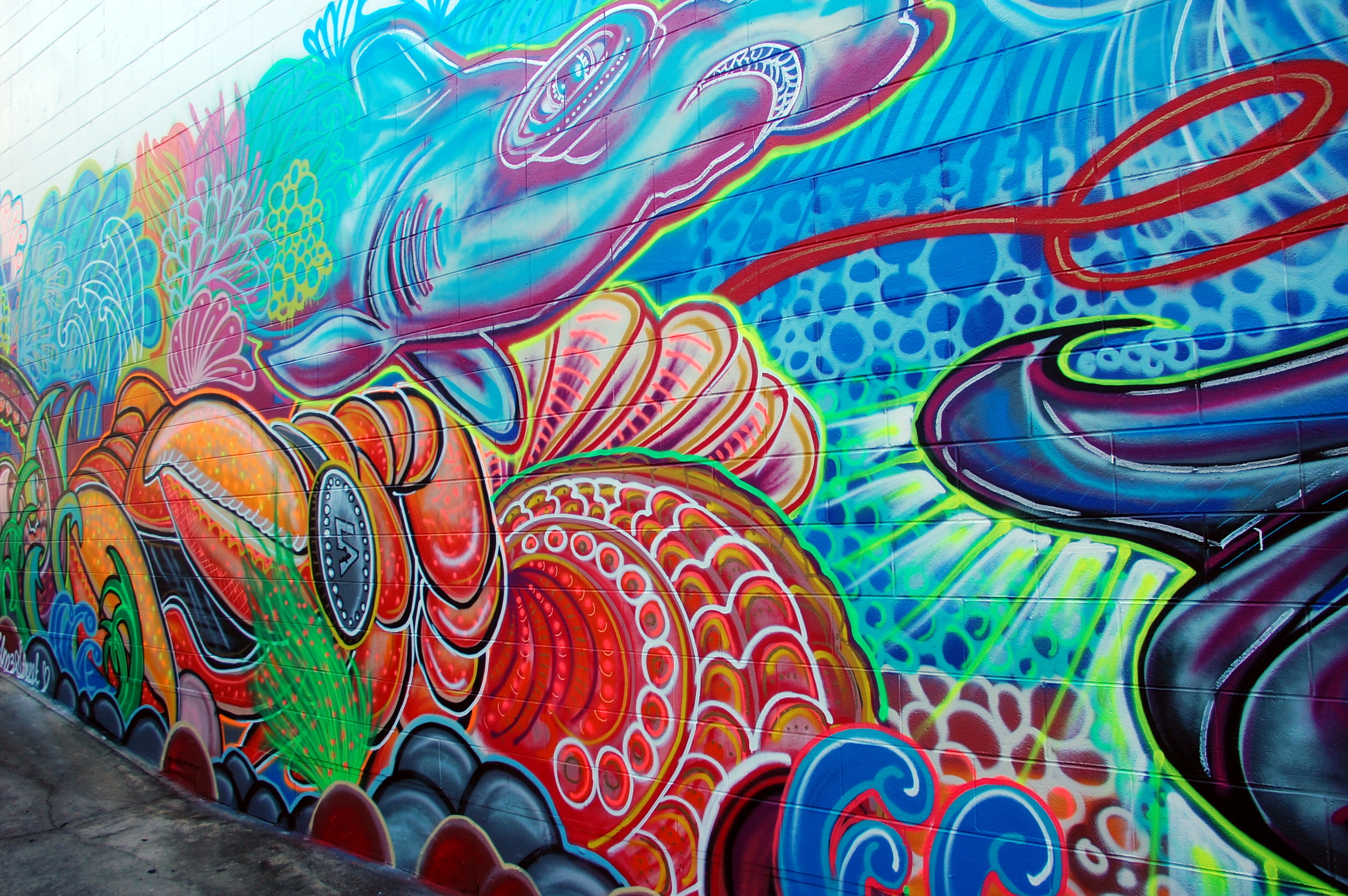 Street art in Australia, graffiti wall in Airlie Beach | Flour Mill Dundee